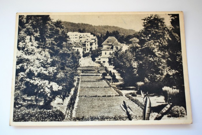 Carte postala - Poza - Govora - Parcul