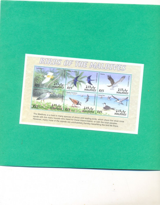 P210=MALDIVE-PASARI,kleinbogen de 6 timbre nestampilate tematica pasari,MNH
