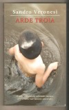 Sandro Veronesi-Arde Troia