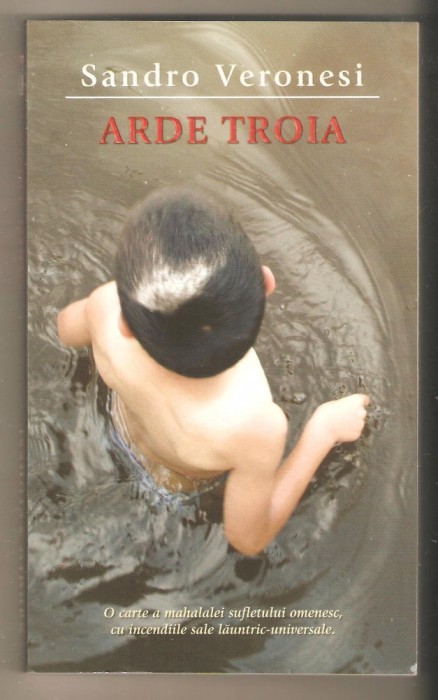 Sandro Veronesi-Arde Troia