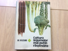 cultura legumelor mai putin raspandite Gh valceanu carte ditura ceres 1982 RSR foto