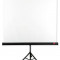 Ecran de proiectie Vidis Avtek Tripod Standard 200x200 1:1 alb mat 112 inch