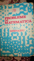 Probleme de matematica pentru gimnaziu an 1985/447pag- Petrica / Stefan / Alexe foto