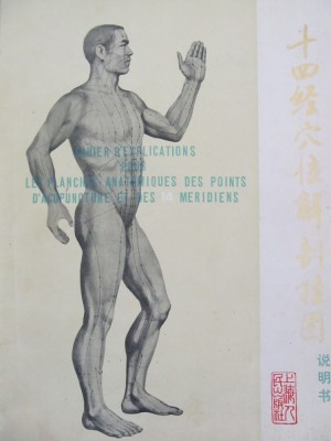 Cahier pour les planches des points d&amp;#039; acupuncture et des 14 meridiens foto