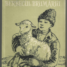 Horvath Istvan / BERBECUL BRUMARIU - povesti, ilustratii Andrasi Zoltan, ed.1957