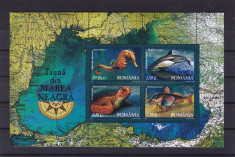 ROMANIA 2007 LP 1755 a FAUNA DIN MAREA NEAGRA BLOC MNH foto