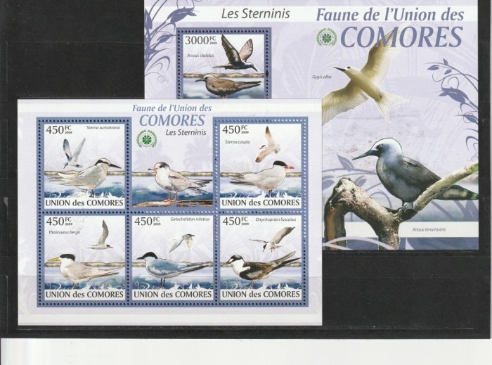 Fauna marina ,pasari ,pescarus ,Comore.
