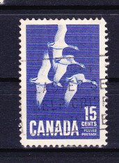 Timbre CANADA 1963 = GASTE CANADIENE foto