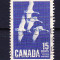 Timbre CANADA 1963 = GASTE CANADIENE