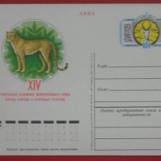 RUSIA 1978 - FAUNA. JAGUAR. CARTE POSTALA MNH (S22)