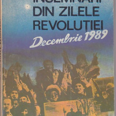 COLECTIV DE AUTORI - INSEMNARI DIN ZILELE REVOLUTIEI DECEMBRIE 1989