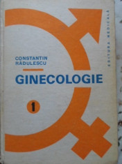 Ginecologie Vol.1 Fiziologie, Fiziopatologie Si Patologie De - Constantin Radulescu ,399634 foto