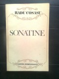 Cumpara ieftin Radu Cosasu - Sonatine - portrete, schite, tragedii (Cartea Romaneasca, 1987)