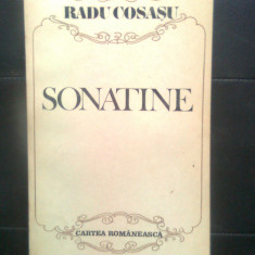 Radu Cosasu - Sonatine - portrete, schite, tragedii (Cartea Romaneasca, 1987)