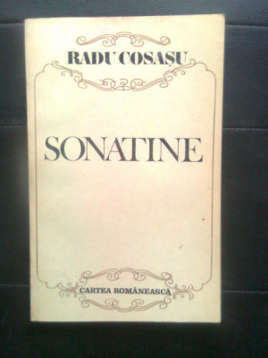 Radu Cosasu - Sonatine - portrete, schite, tragedii (Cartea Romaneasca, 1987) foto