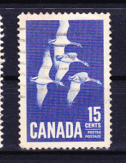 Timbre CANADA 1963 = GASTE CANADIENE foto