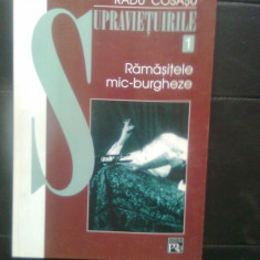 Radu Cosasu - Ramasitele mic-burgheze (Supravietuirile I), (2002)