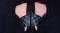 icon 11