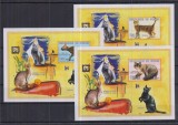 GUINEA 1999 FAUNA DOMESTICA PISICI