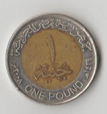 Moneda 1 pound 2008 - Egipt foto