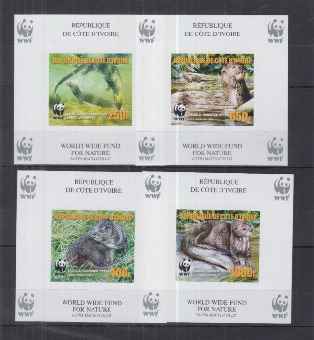 COASTA DE FILDES 2005 SPECII PROTEJATE WWF VIDRE - COLITE DELUXE