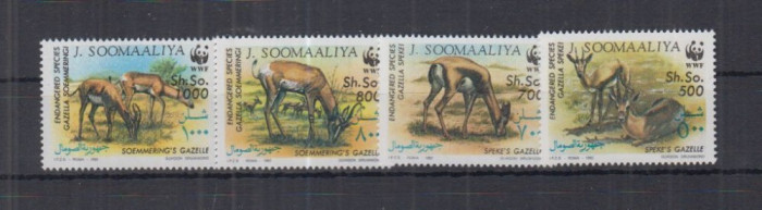 SOMALIA 1999 WWF FAUNA PROTEJATA GAZELE