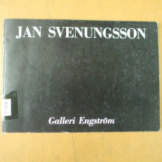 Jan Svenungsson arta vizuala expozitie Stockholm 1989 Engstrom