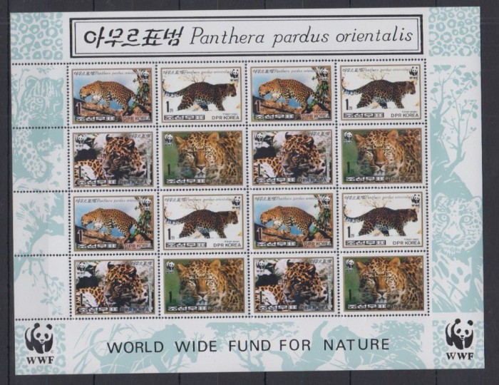 COREEA DE NORD 1998 WWF SPECII PROTEJATE LEOPARD