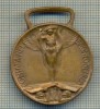 ZET 463 MEDALIE -RAZBOI PENTRU UNITATEA ITALIEI- 1915-1918-PRIMUL RAZBOI MONDIAL, Europa