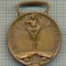 ZET 463 MEDALIE -RAZBOI PENTRU UNITATEA ITALIEI- 1915-1918-PRIMUL RAZBOI MONDIAL