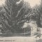 BAILE GOVORA INTRAREA IN PARC LIBRARIA ANASTASIU &amp; PETRESCU RM. VALCEA CIRC.1929