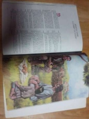 Carte vintage format mare Povesti Istorice de Dumitru Almas,Tp.Gratuit foto
