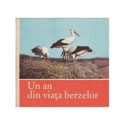 Claus Schonert - Un an din viata berzelor foto