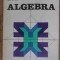 Algebra - Ion D. Ion, R. Nicolae ,536554