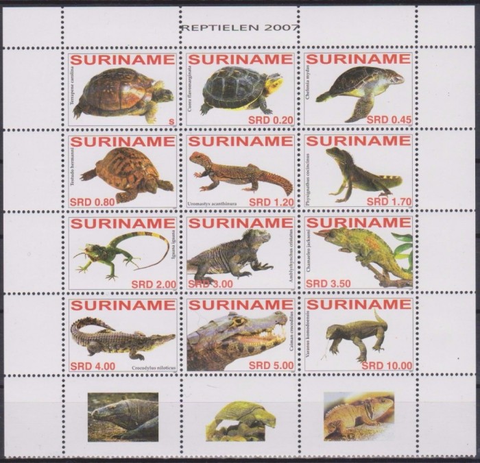 SURINAM 2007 REPTILE