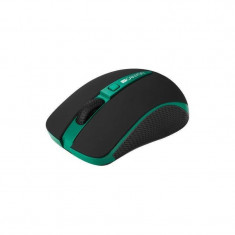 Mouse Canyon CNS-CMSW6G Verde foto