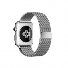 Curea smartwatch Apple Watch 42mm Silver Milanese Loop foto