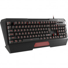 Tastatura gaming Genesis RX69 USB Negru foto