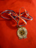 Medalie Fotbal - decernata Cupa Amfora 2008 Iugoslavia, h= 6 cm ,metal si email