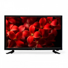 Televizor Arielli LED 2488 HD Ready 61cm Black foto