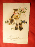 Ilustrata - Felicitare de Craciun Romania - Pisici cu chitara ,circulat 1924, Circulata, Printata