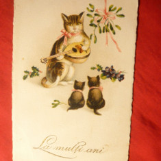 Ilustrata - Felicitare de Craciun Romania - Pisici cu chitara ,circulat 1924