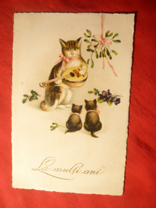 Ilustrata - Felicitare de Craciun Romania - Pisici cu chitara ,circulat 1924