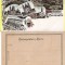 Cernauti , Bucovina - litografie -editura Knorr