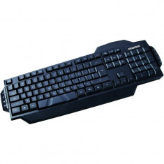 Tastatura Newmen E370 Black foto