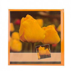 Album foto Procart Flower Orange Tulip 10x15cm 500 poze slip-in file cartonate foto