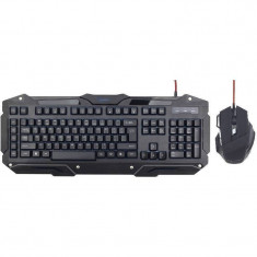 Kit tastatura si mouse Gembird KB-UMGL-01+MUSG-02 USB Black foto