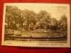 Ilustrata Buzias - Parcul 1928 , autor Ujhelly, Necirculata, Printata