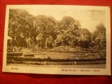 Ilustrata Buzias - Parcul 1928 , autor Ujhelly
