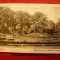 Ilustrata Buzias - Parcul 1928 , autor Ujhelly